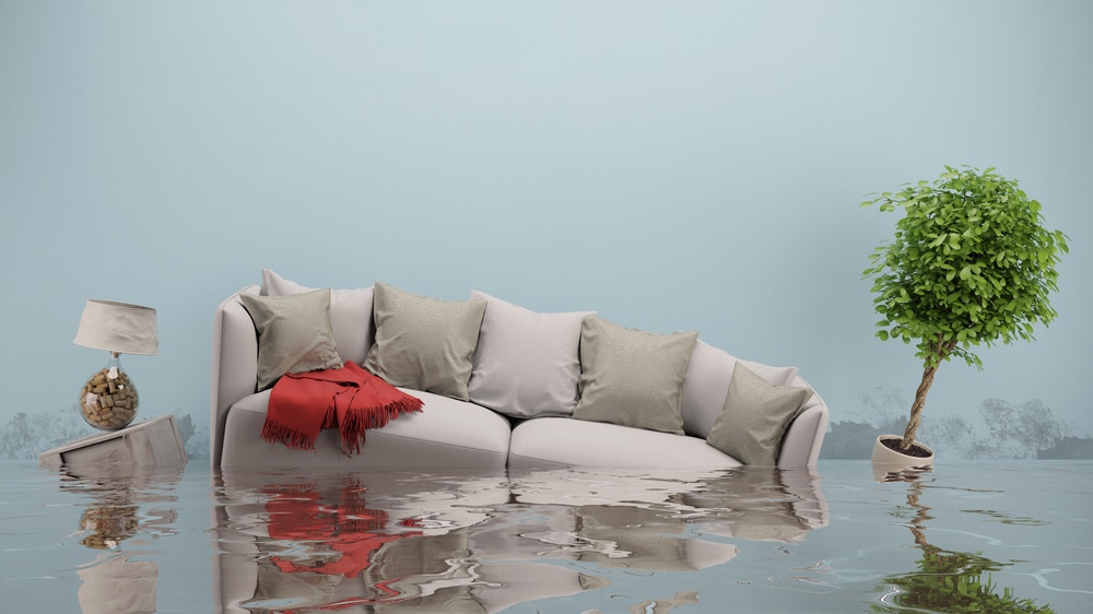 Most Common Causes of Residential Water Damage 